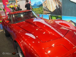 Vienna Drive 15.01.2026